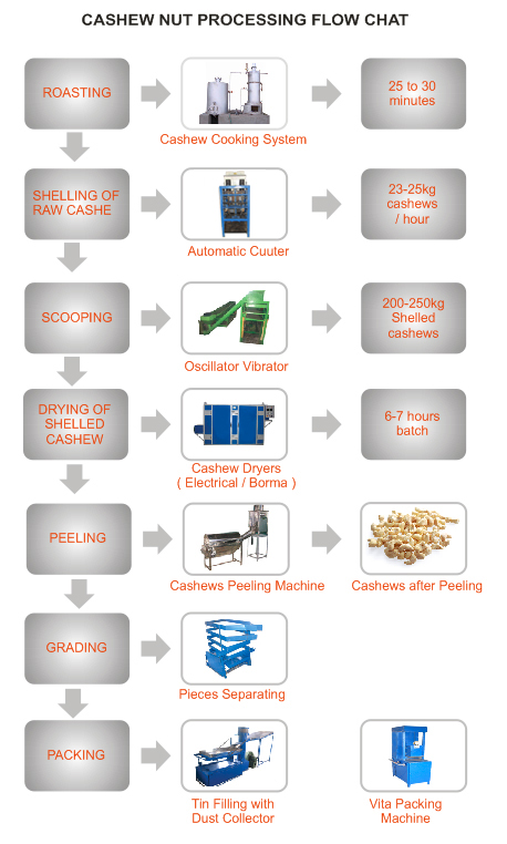 cashew-processing-charts